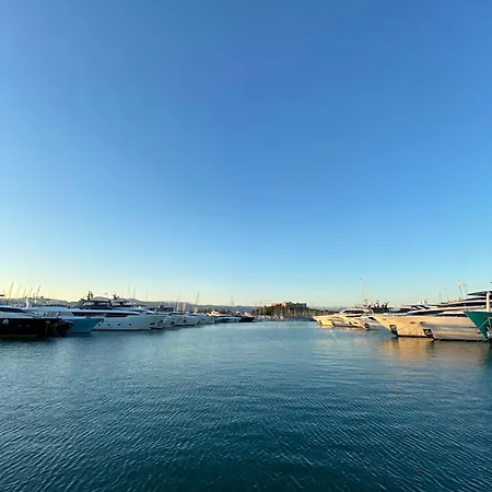 Chamant T3 Avec Terrasse Au Coeur D'antibes A 10min A Pieds De La Mer דירה אנטיב